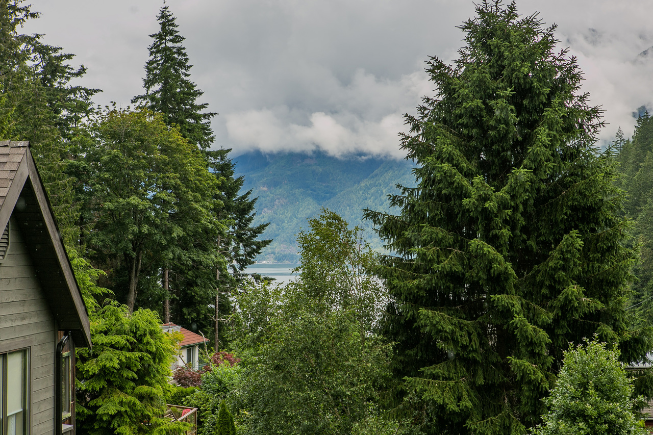 Mountain and peek-a-boo ocean view from master bedroom