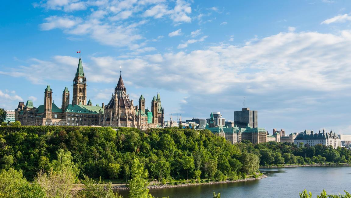 Everything You Need to Settle In 