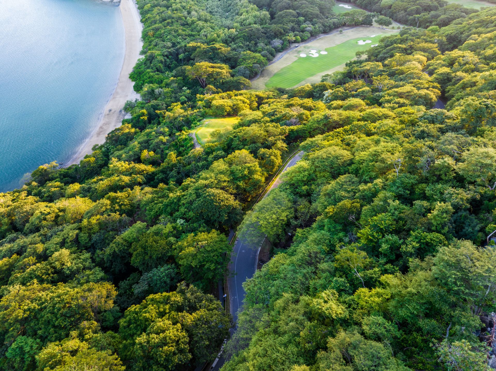 dp-11-nov-22-afternoon-17-of-49