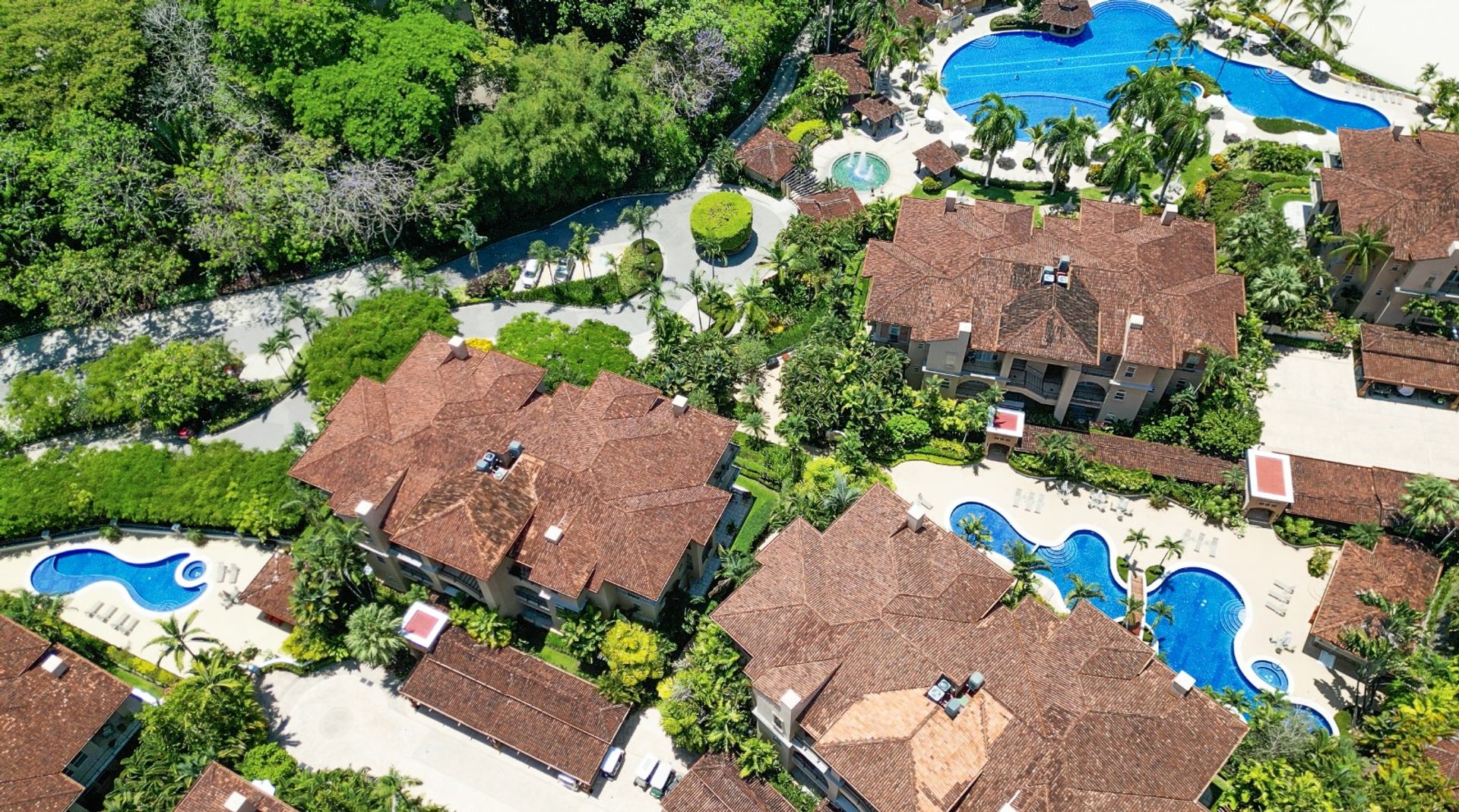 d6a28926-4eef-4c36-ab86-82acc84a38b7-1