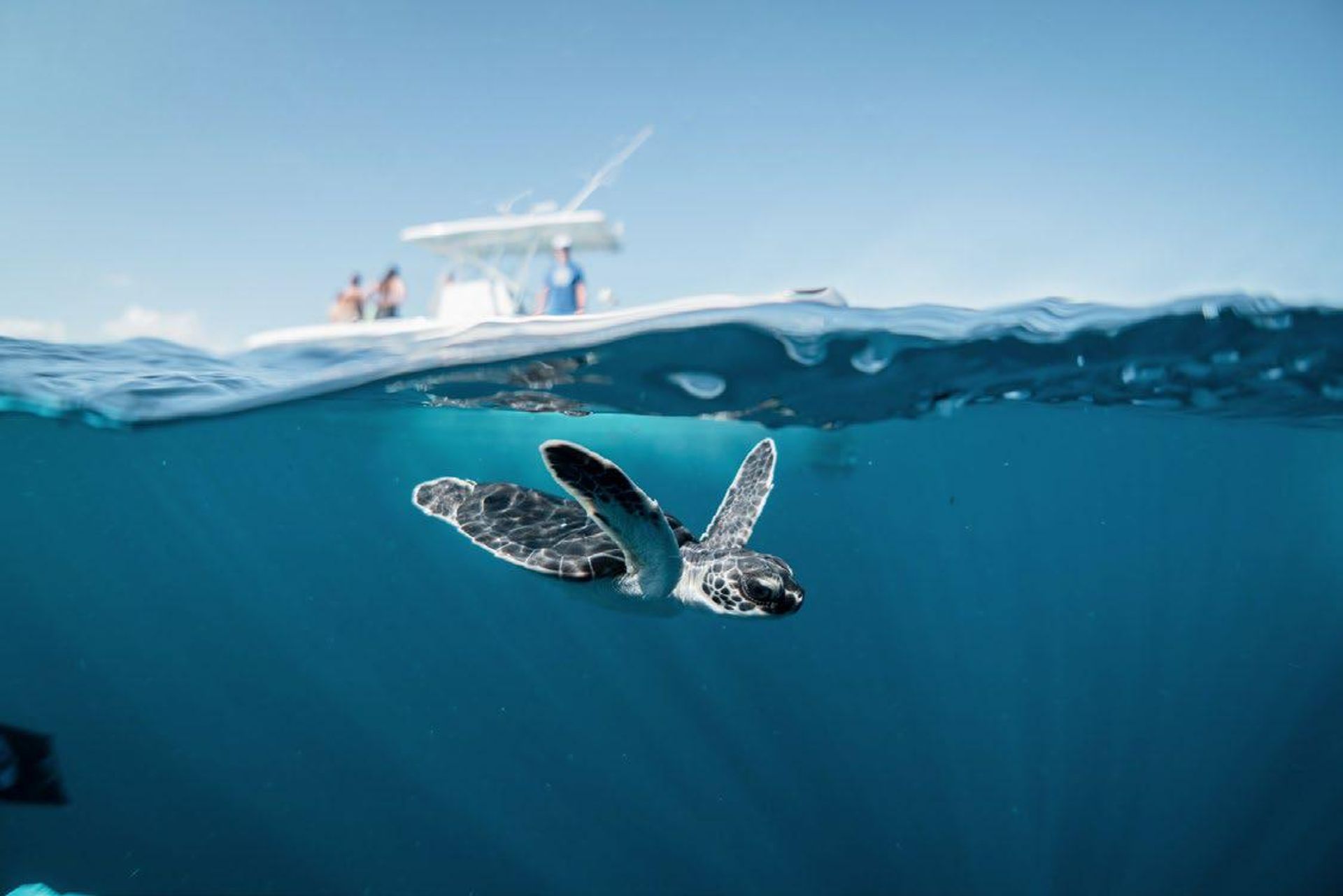 LUXURY CONDO FOR SALE IN VILLAS CALETAS IN HERRADURA CONDO FOR SALE OCEAN VIEW PROPERTY COSTA RICA BILASH AND CHARRON REAL ESTAT