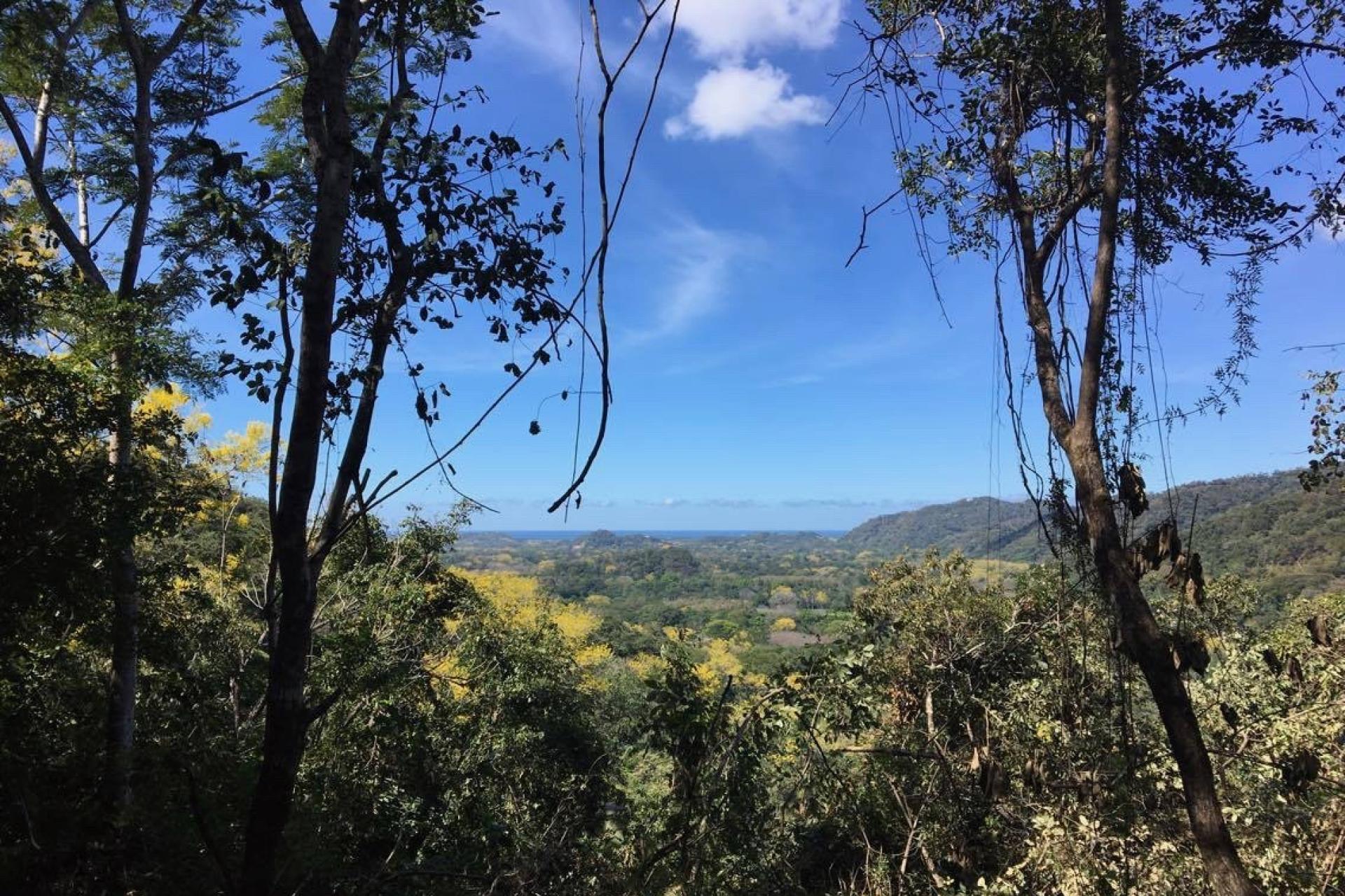 Finca La Trembla , Nosara Beach, Guanacaste 2