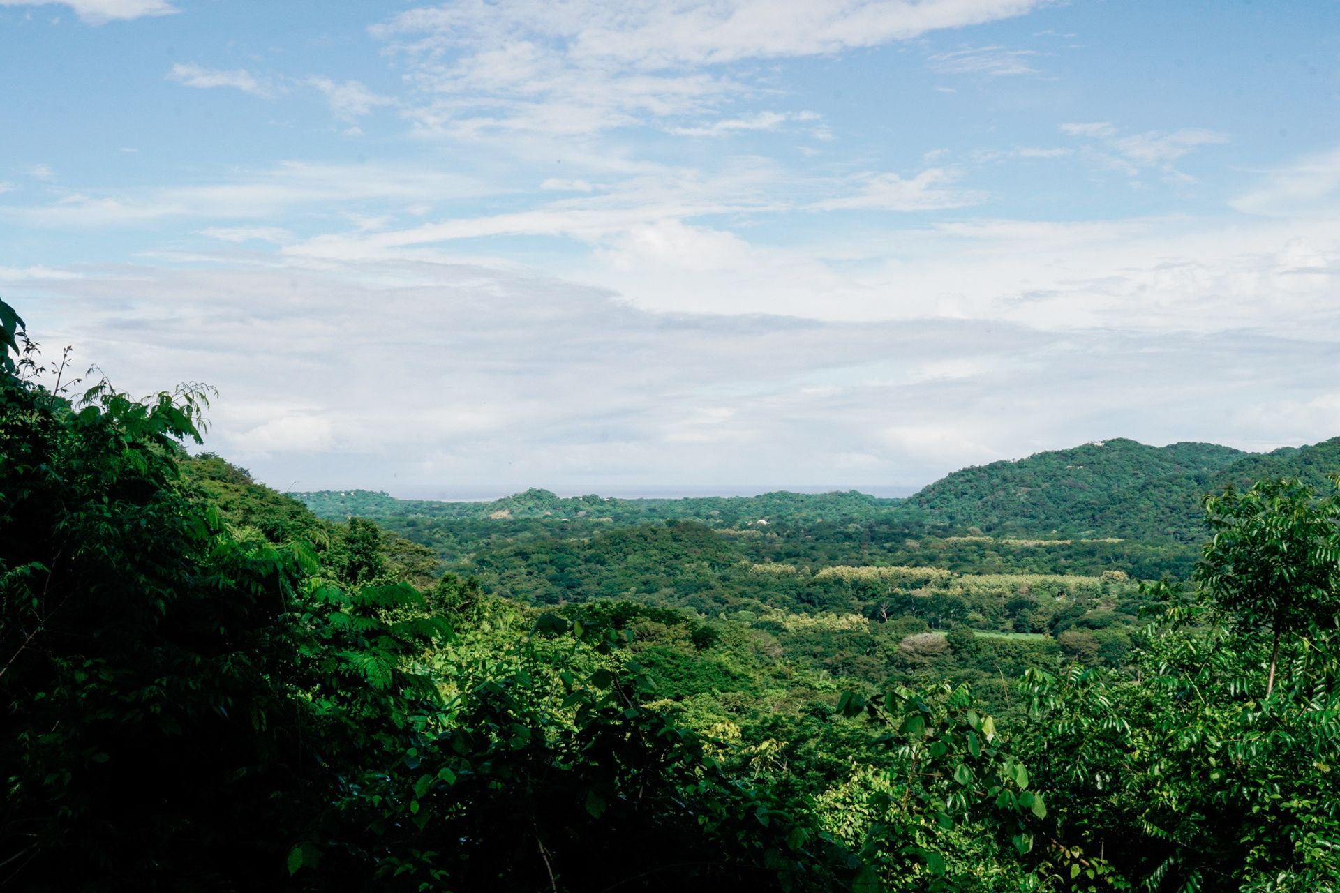 venta de finca en nosara guanacaste para desarrollar development property Nosara guanacaste opportunuty land for sale nosara gua