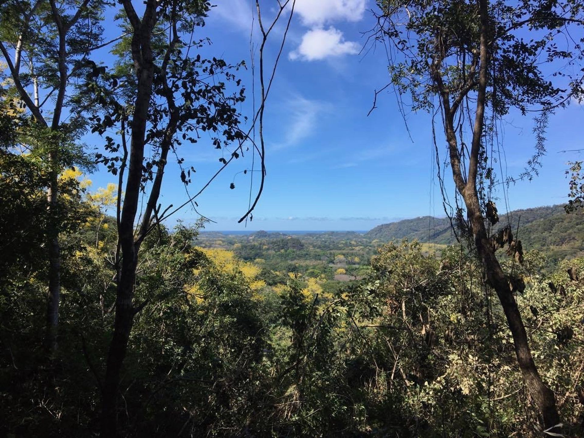 development property Nosara guanacaste opportunuty land for sale nosara guanacaste bilash and charron real estate group costa ri