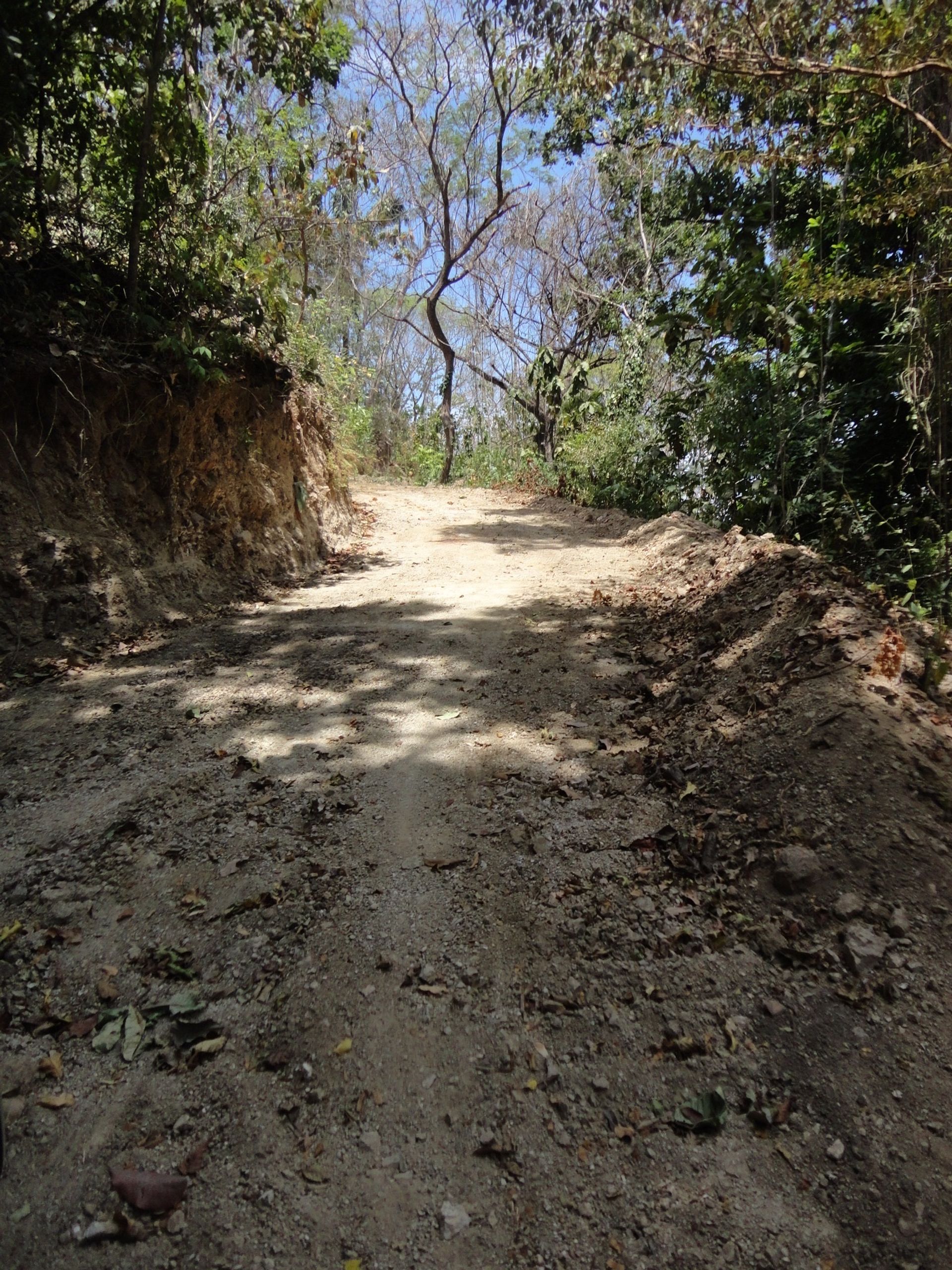 venta de finca en nosara guanacaste para desarrollar development property Nosara guanacaste opportunuty land for sale nosara gua