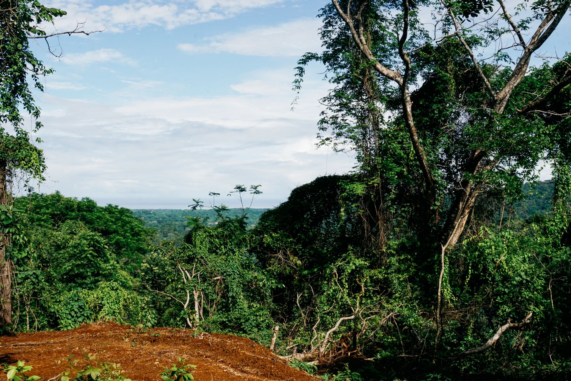 venta de finca en nosara guanacaste para desarrollar development property Nosara guanacaste opportunuty land for sale nosara gua