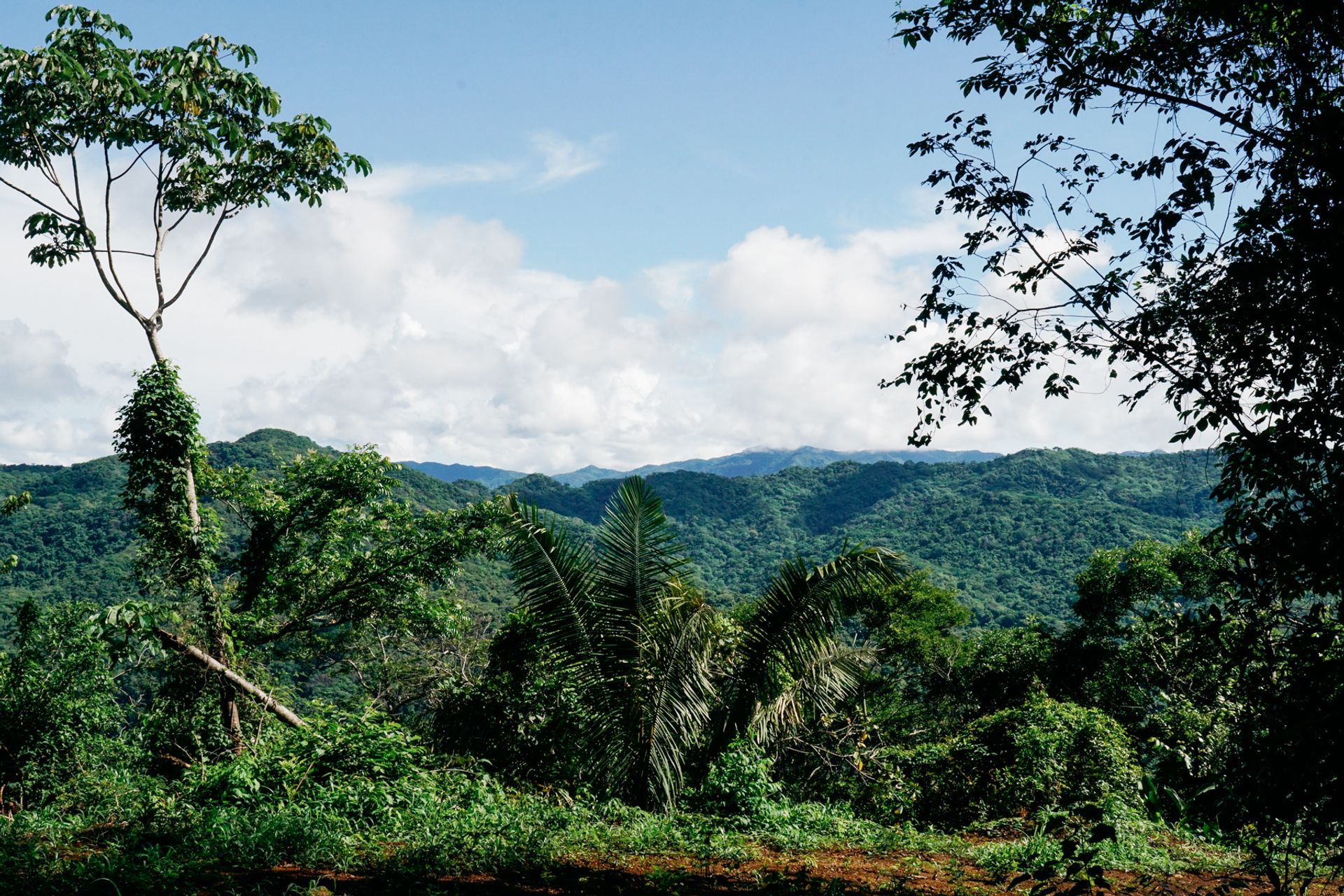 venta de finca en nosara guanacaste para desarrollar development property Nosara guanacaste opportunuty land for sale nosara gua