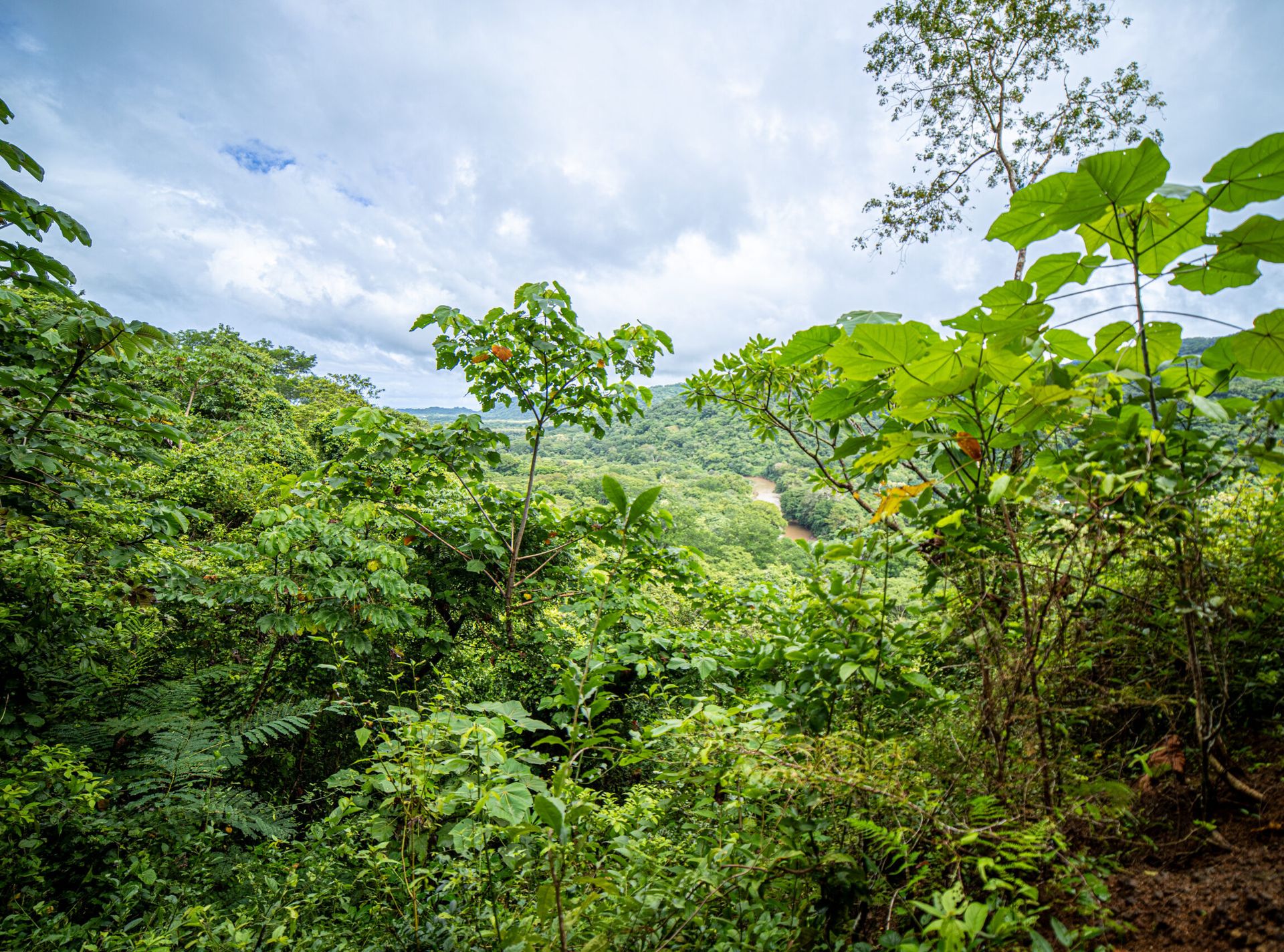 la-trembland venta de finca en nosara guanacaste para desarrollar development property Nosara guanacaste opportunuty land for sa