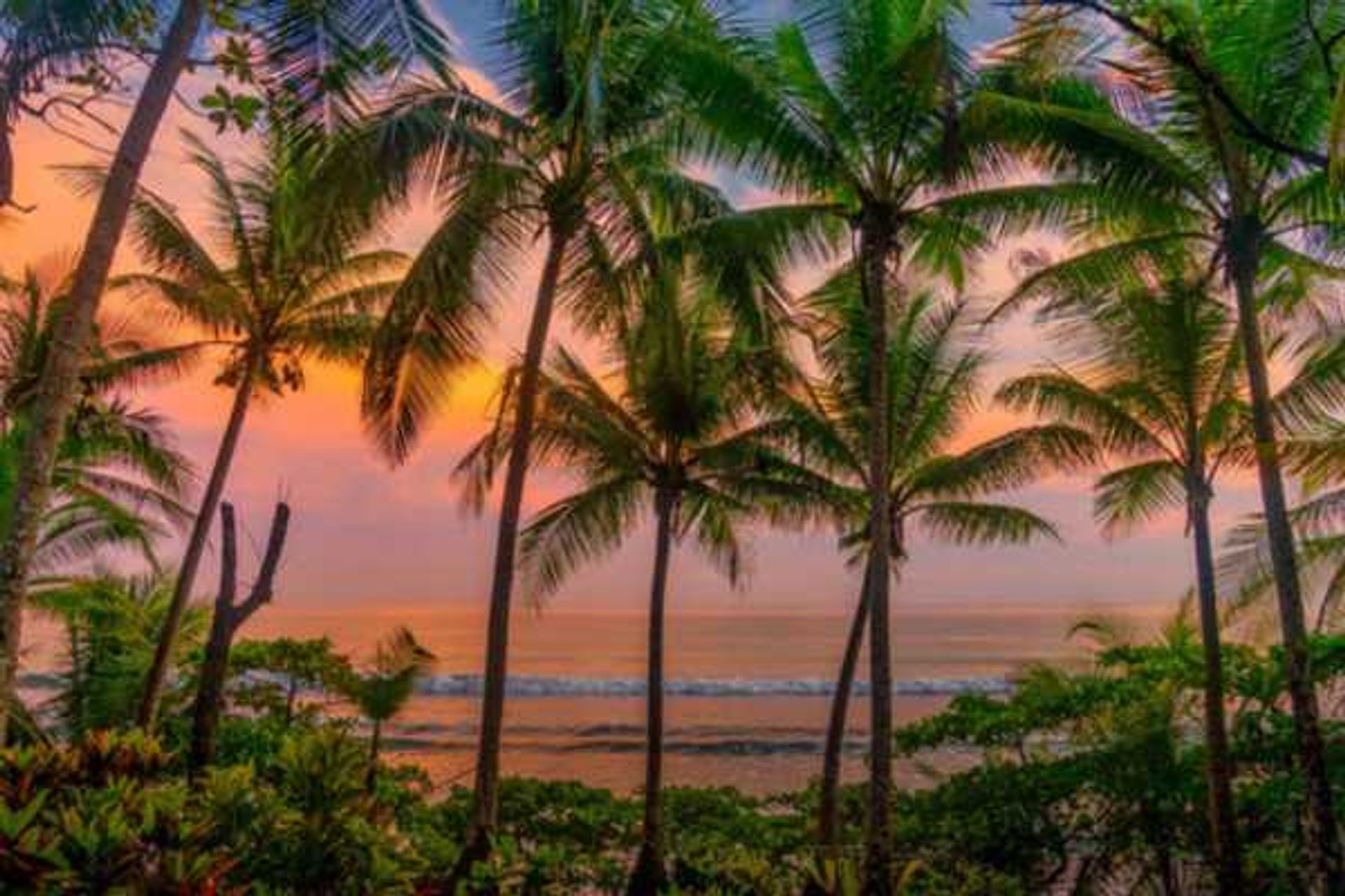 opportunity home for sale protrero beach guanacaste house for sale playa potrero guanacaste casa en venta playa potrero guanacas