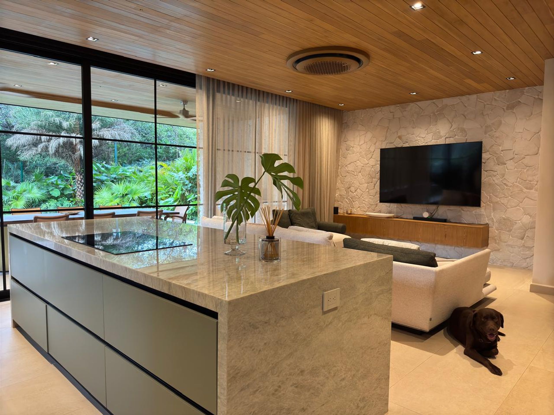 3f523fc5-61a9-41a1-a132-4f9d2235a48c