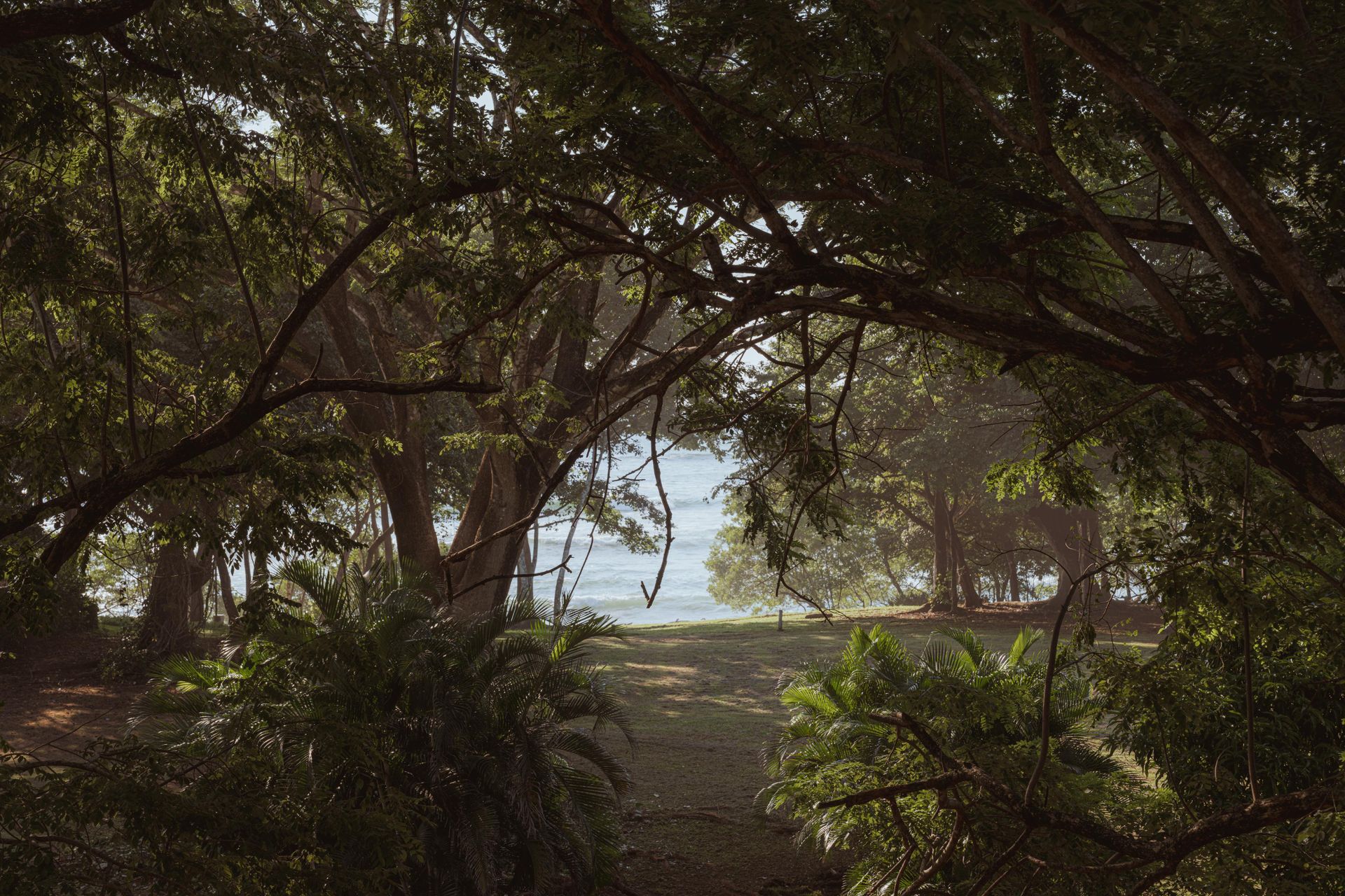 whatsapp-image-2025-09-11-at-73819-pm-5