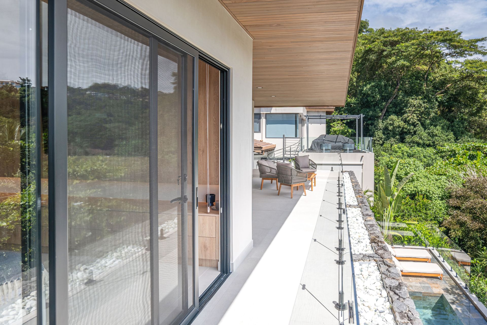 elbosque09lossuenos_29