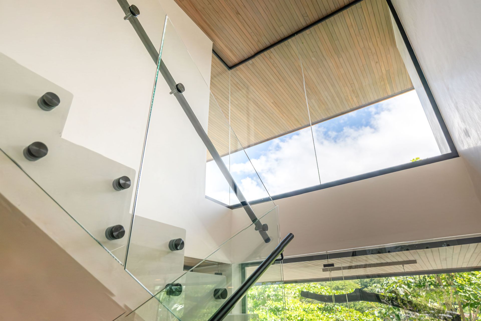 elbosque09lossuenos_56