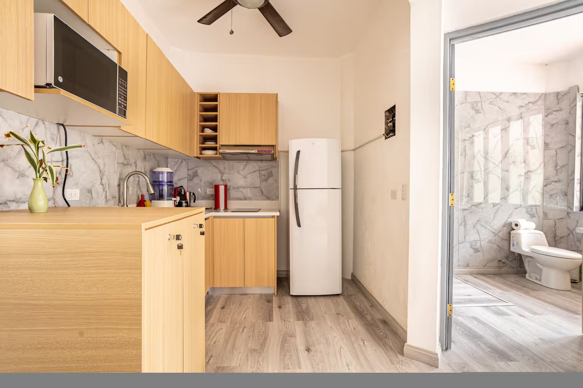 manuel antonio 1 bd condo for sale maria fernanda rivas bilash and charron real estate group