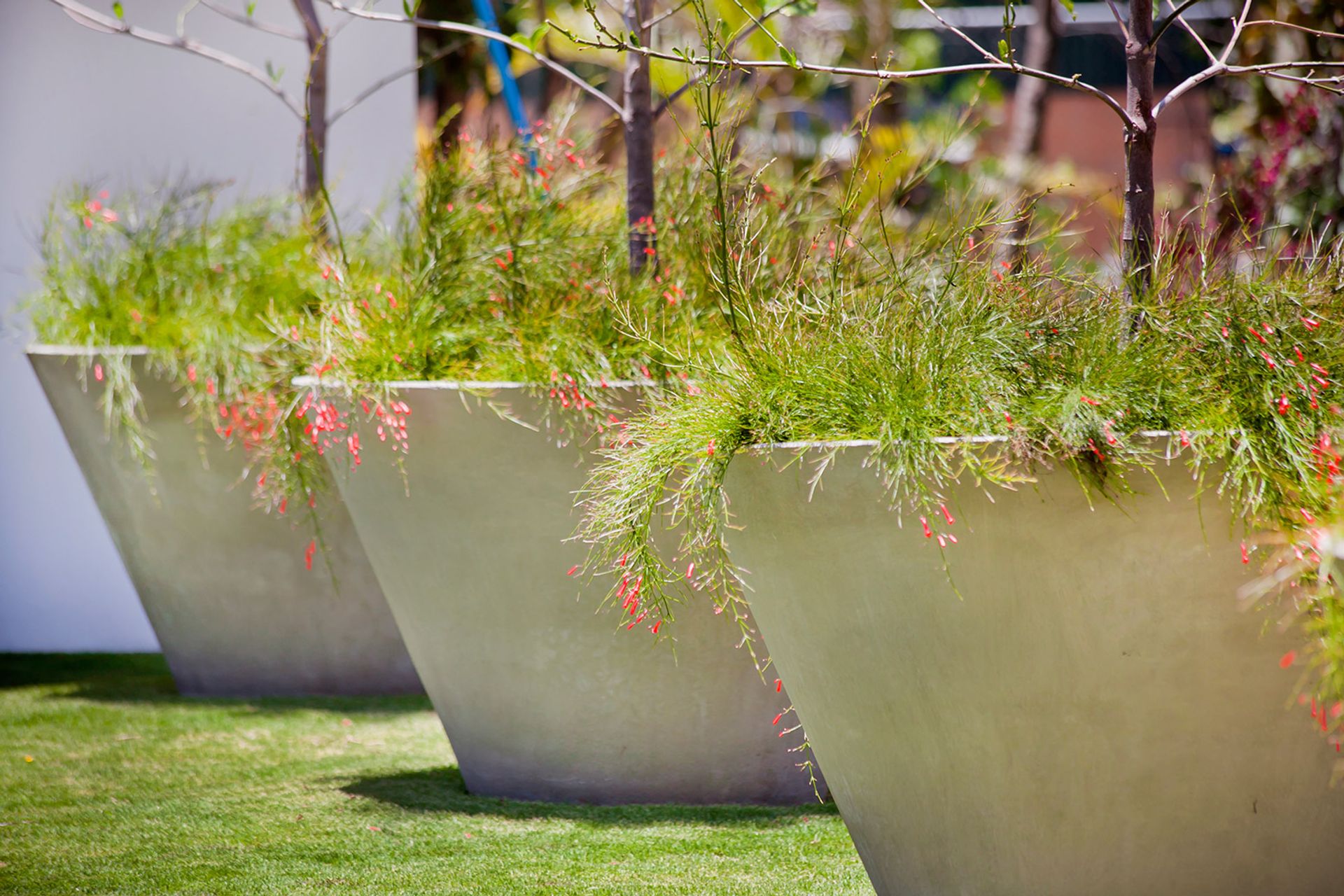 casaclub_distrito4_047