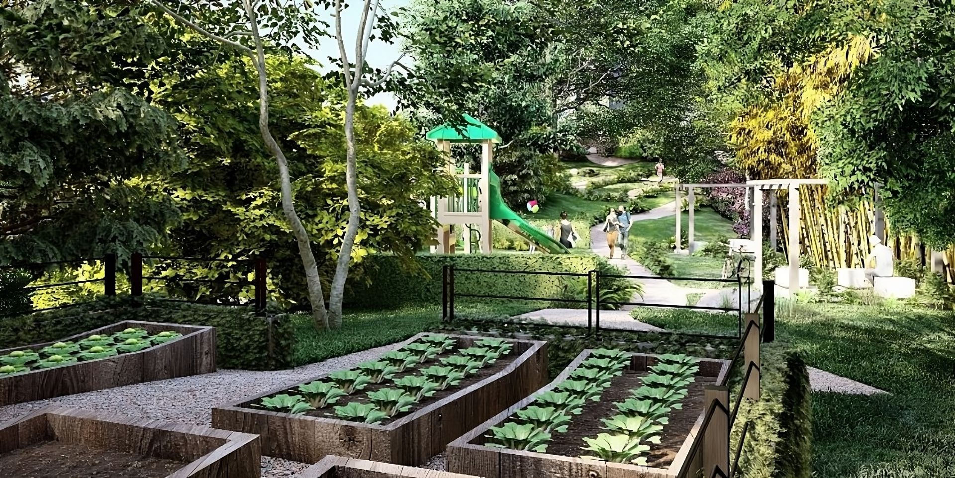 oranic-transformed-2