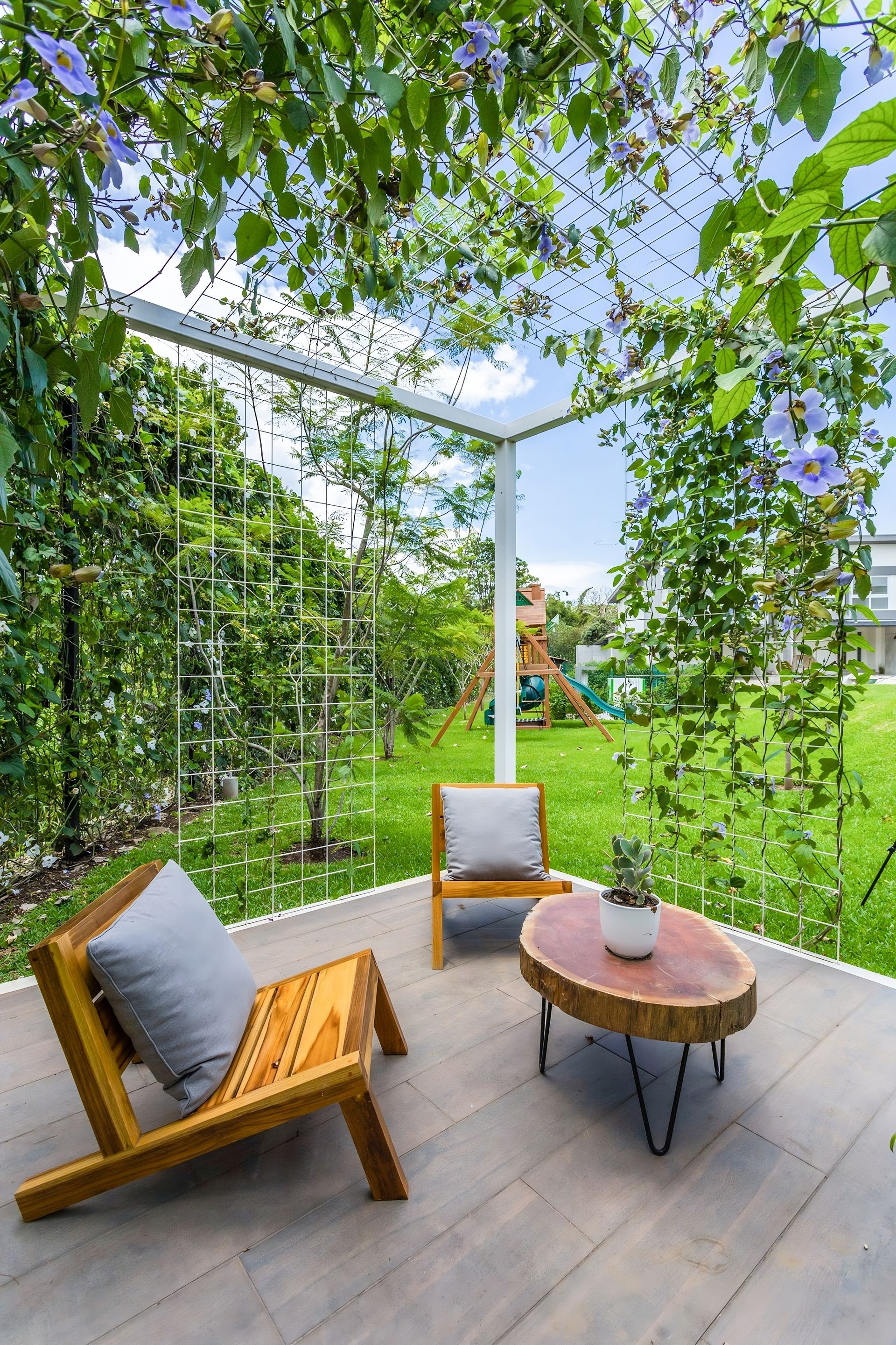 elementslindora_316-transformed