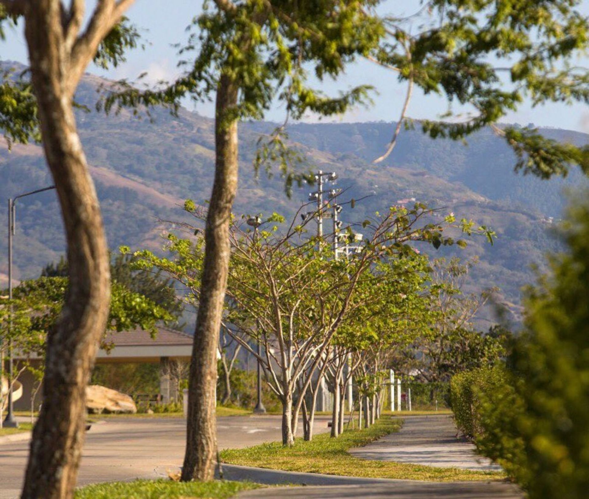 59ad461d-e5e8-44ce-8176-016e28866cb6