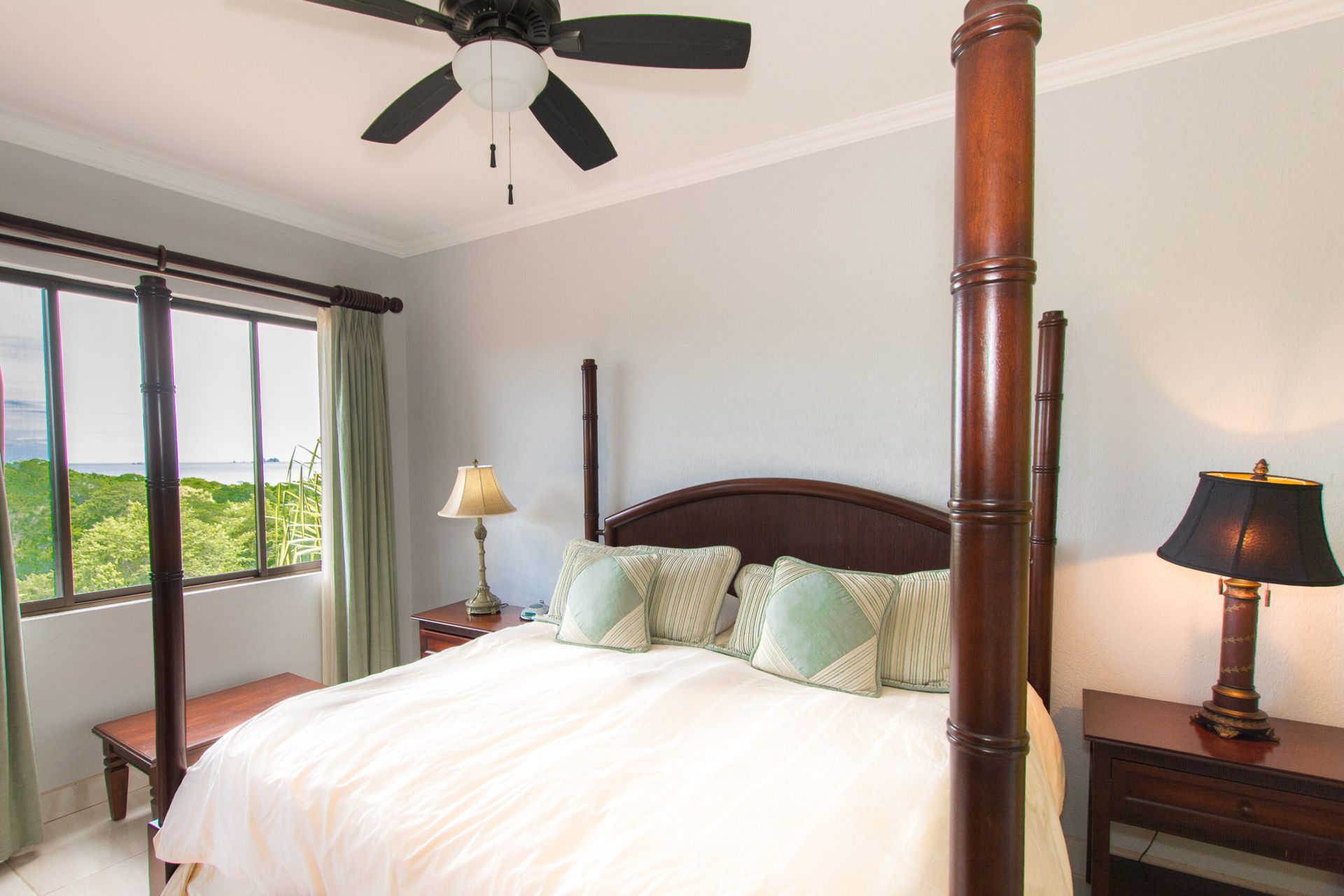 bougainvillea-120414-scaled