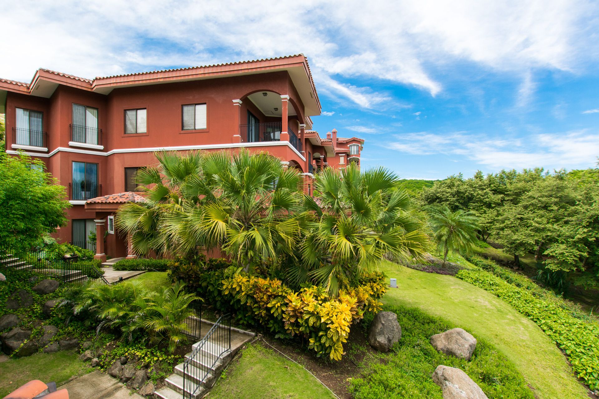 bougainvillea-12047-scaled