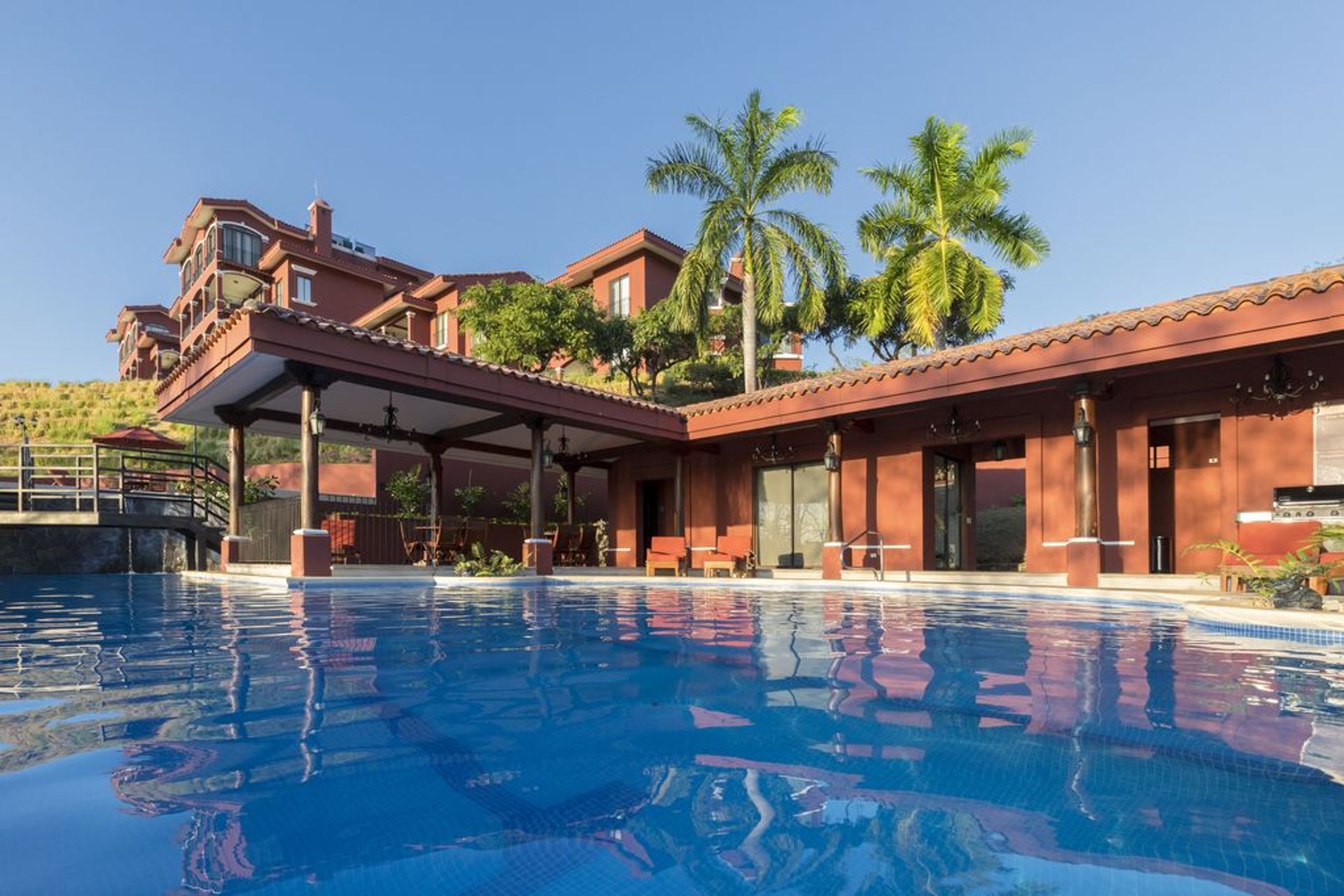 bougainvillea-new-pool