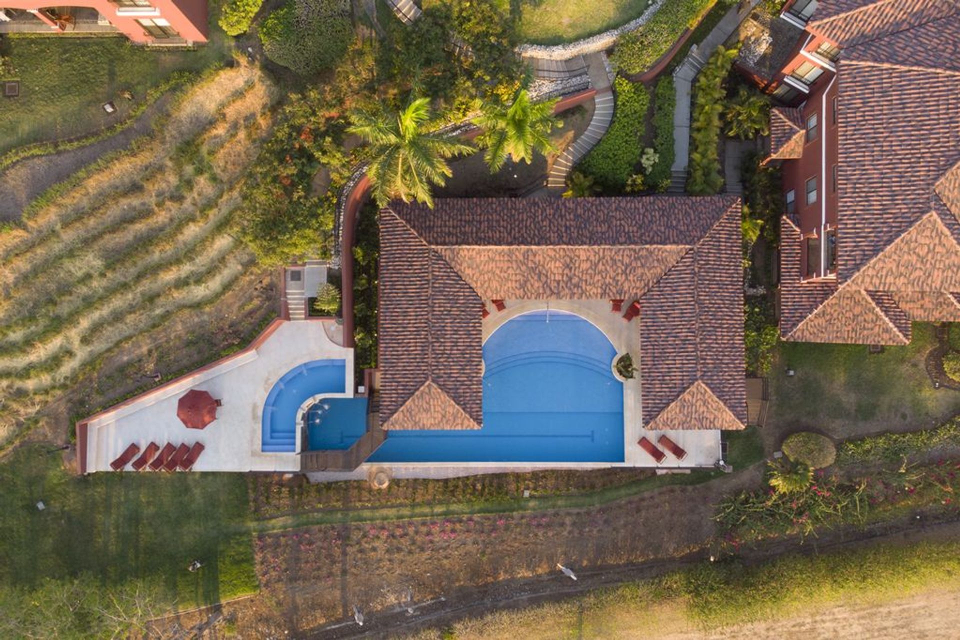 bougainvillea-new-pool1