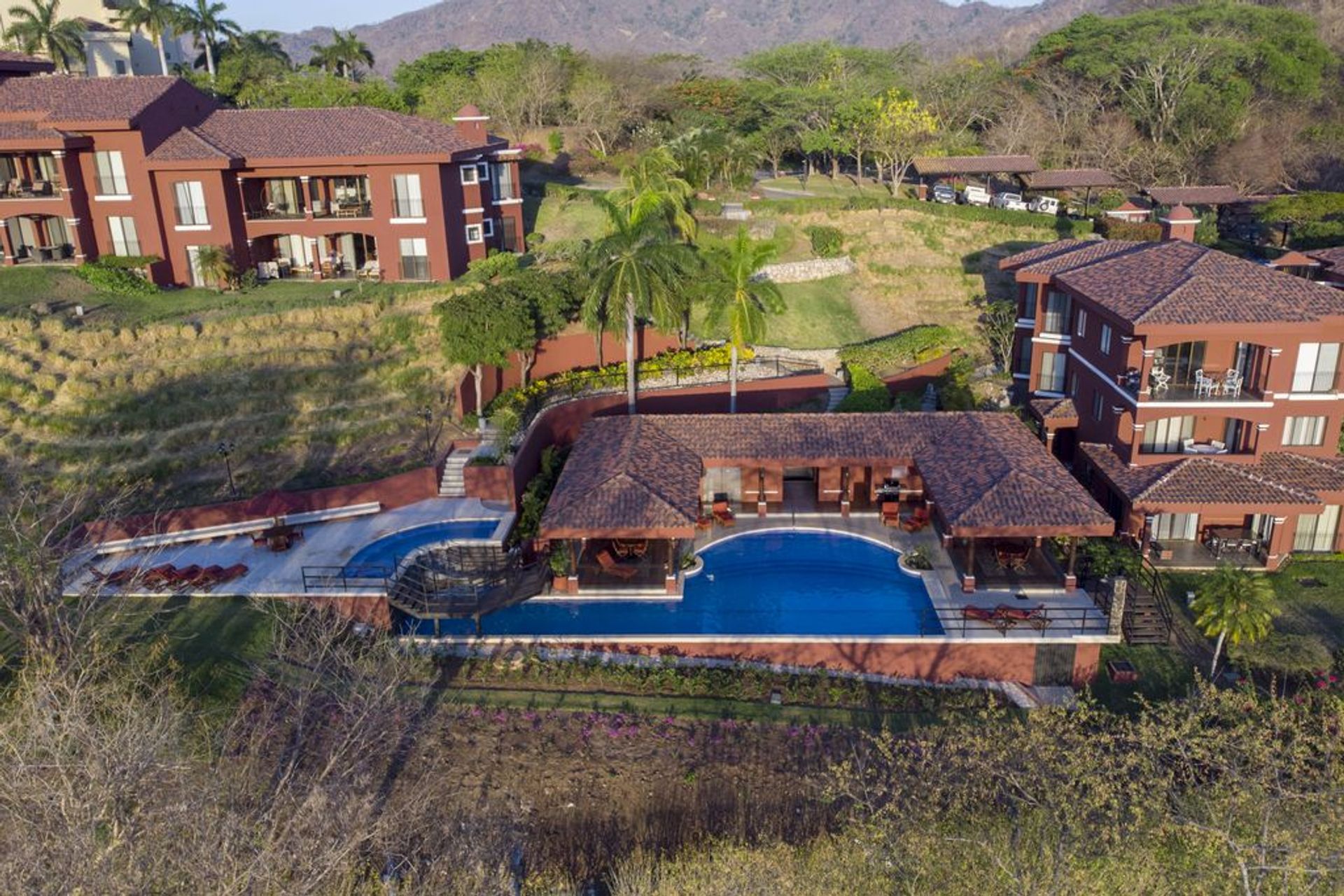 bougainvillea-new-pool2