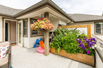 43289_33 at 47 - 19160 119 Avenue, Pitt Meadows