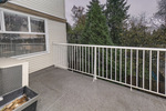 sol00777sol-low-light at #303 - 20556 113 Avenue, Maple Ridge