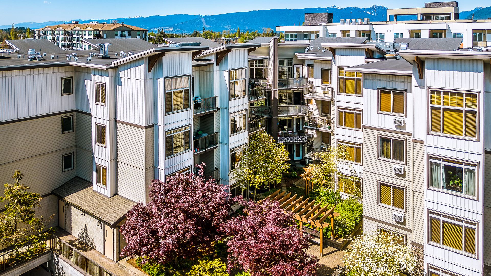 303 - 11887 Burnett Street, Maple Ridge photo number 1 303 - 11887 Burnett Street, Maple Ridge photo number 1