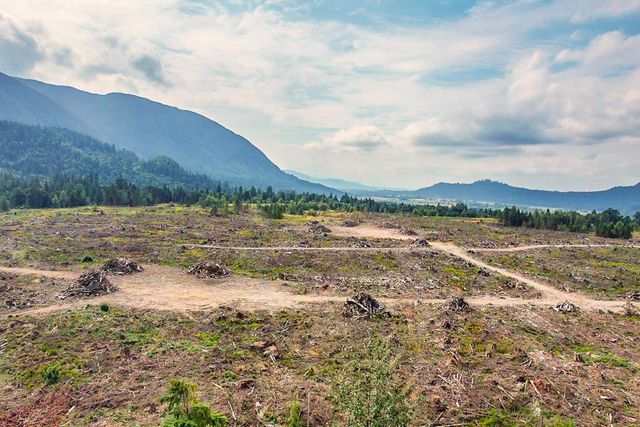 12856-degraff-road-durieu-mission-31 at 12856 Degraff Road, Durieu, Mission 12856-degraff-road-durieu-mission-31 at 12856 Degraff Road, Durieu, Mission