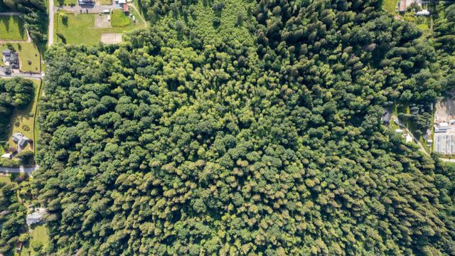 11885-264-street-websters-corners-maple-ridge-40 at 11885 264 Street, Websters Corners, Maple Ridge