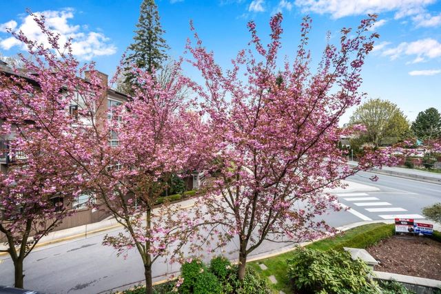 9ecd20d27dac683946bd1f3e4a0eeed2edf654d6 at 302 - 11667 Haney Bypass