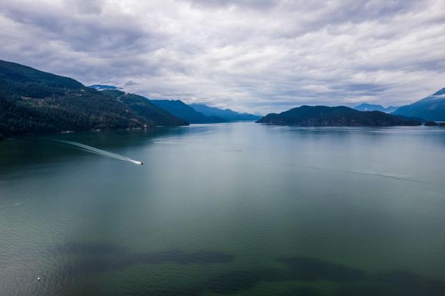 98e75fd08715640a969a93097795c38ea0a6b278 at 404 - 328 Esplanade Avenue