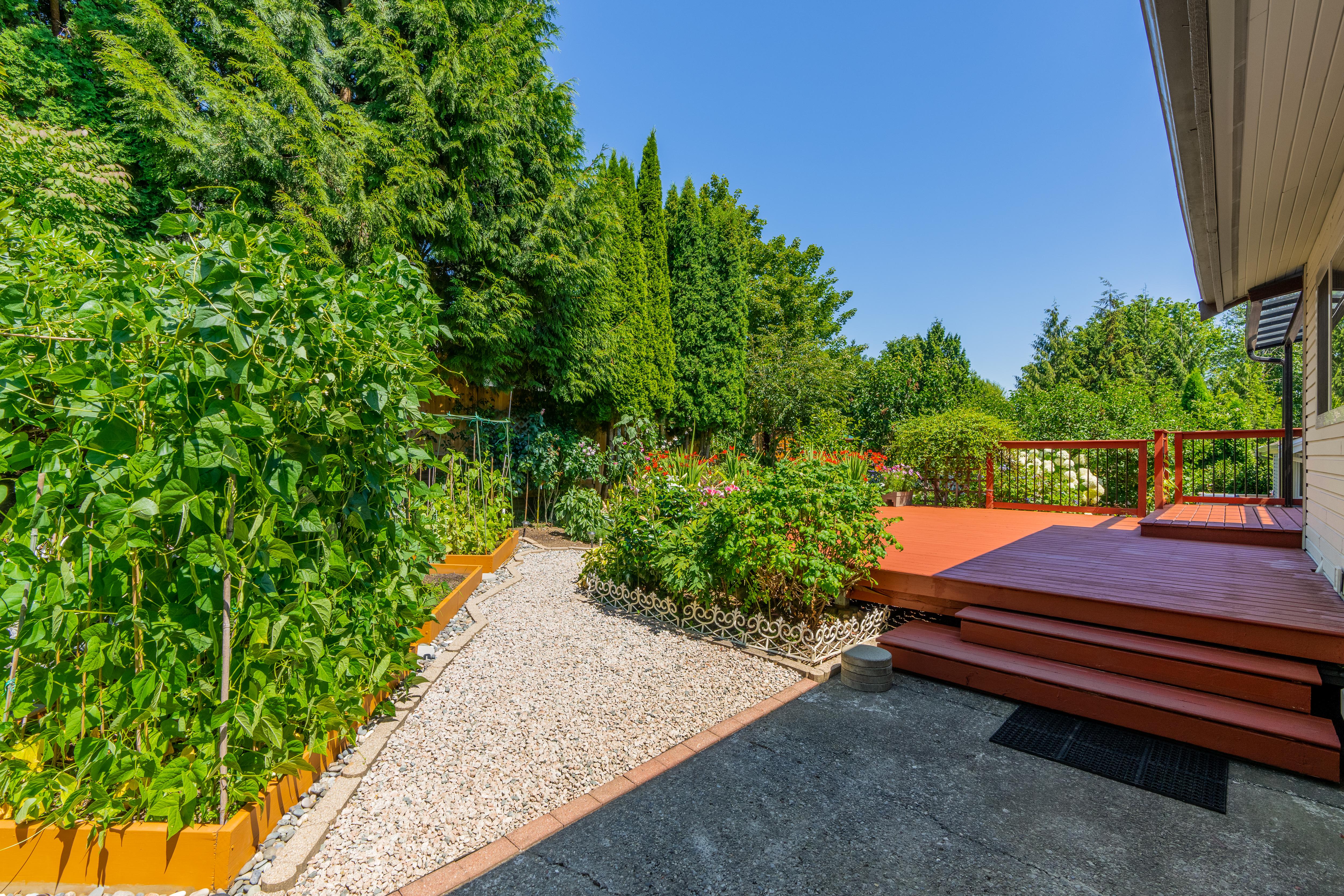 2637 Mclaughlin Court, Scott Creek, Coquitlam 4