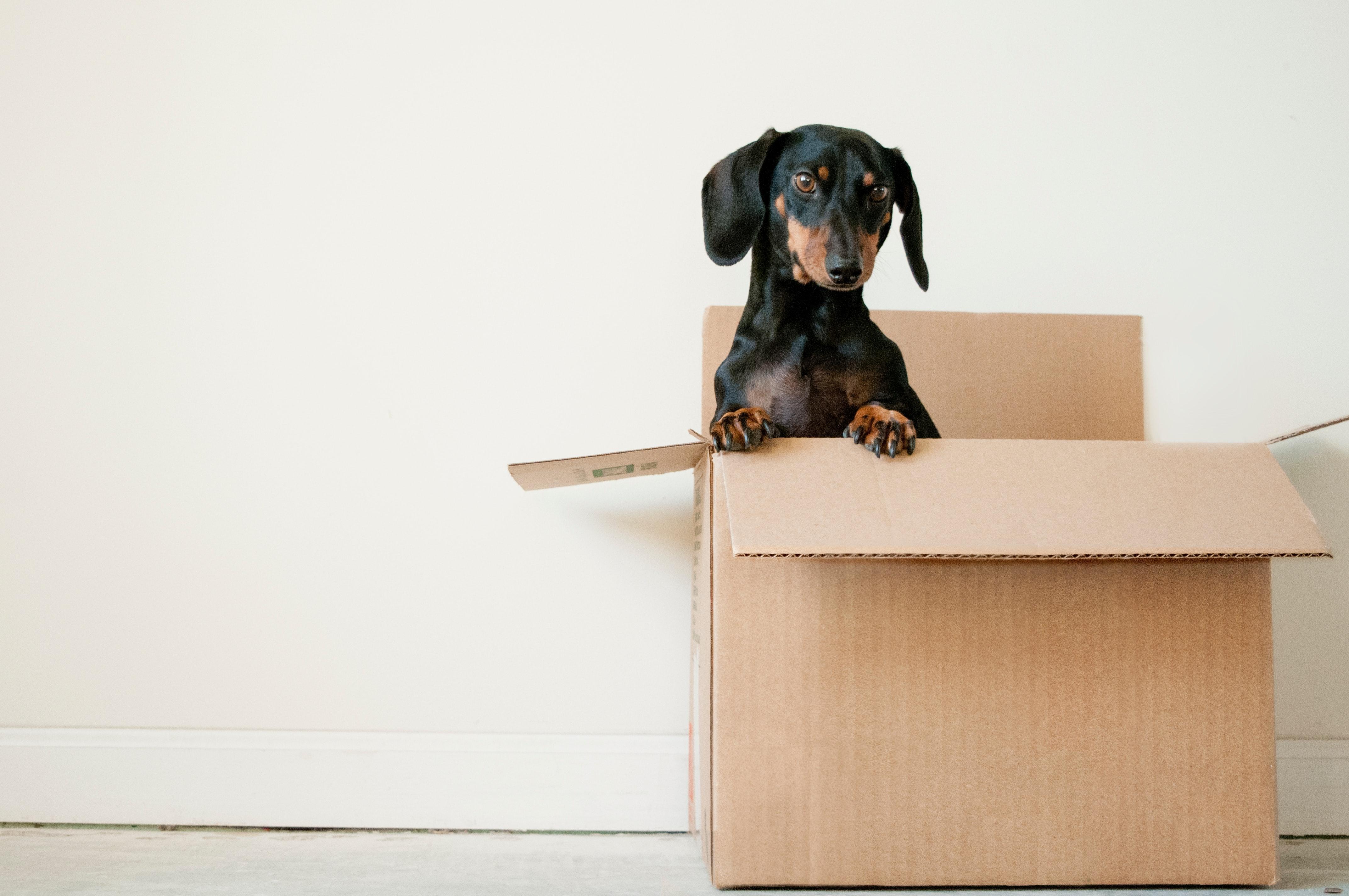 Relocating to Vancouver?