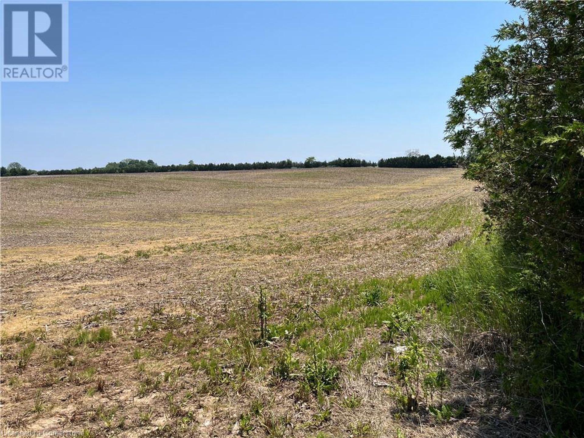 view to south at 282 West Quarterline N/a Road, Port Rowan view to south at 282 West Quarterline N/a Road, Port Rowan