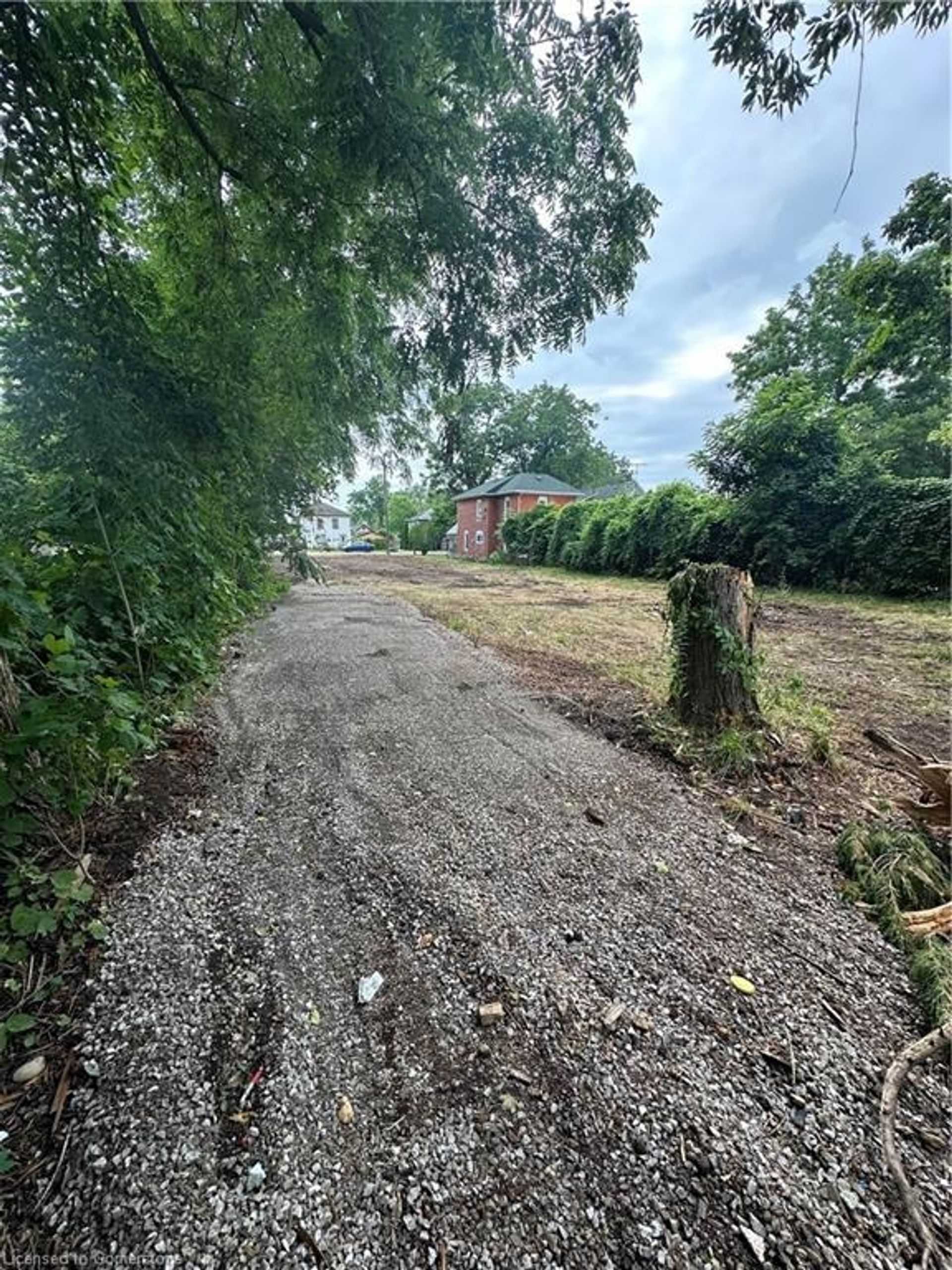 Yard at 49 Ellis Street, Port Rowan Yard at 49 Ellis Street, Port Rowan