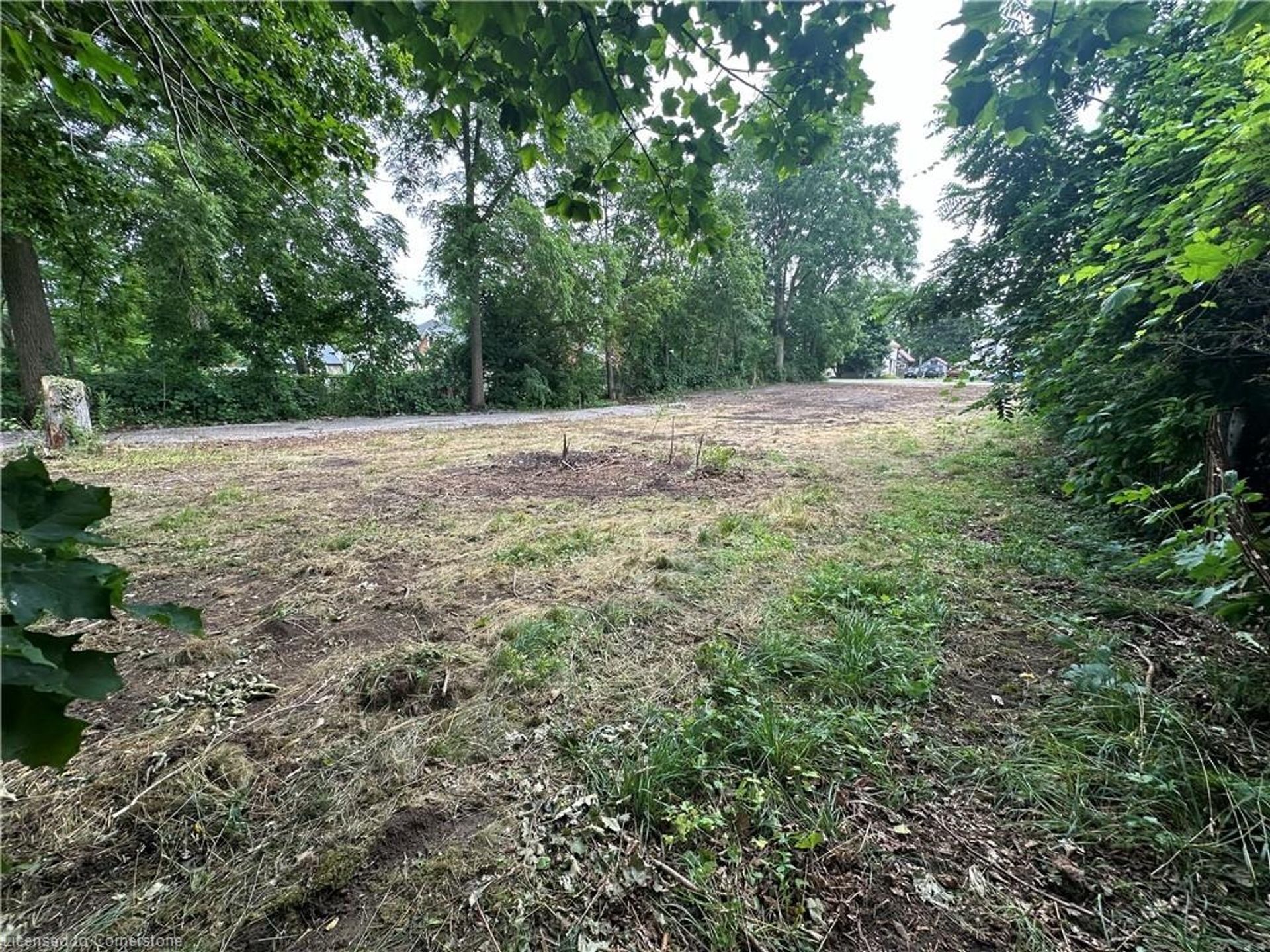 Yard at 49 Ellis Street, Port Rowan Yard at 49 Ellis Street, Port Rowan