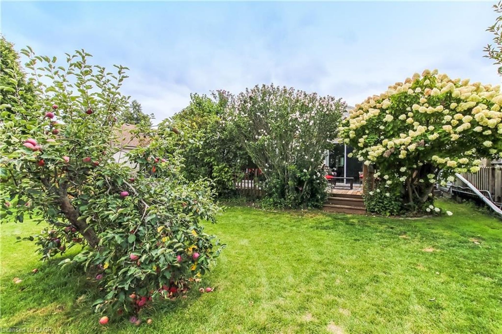 Yard at 5 Walsingham Drive, Village of Long Point Bay, Port Rowan Yard at 5 Walsingham Drive, Village of Long Point Bay, Port Rowan