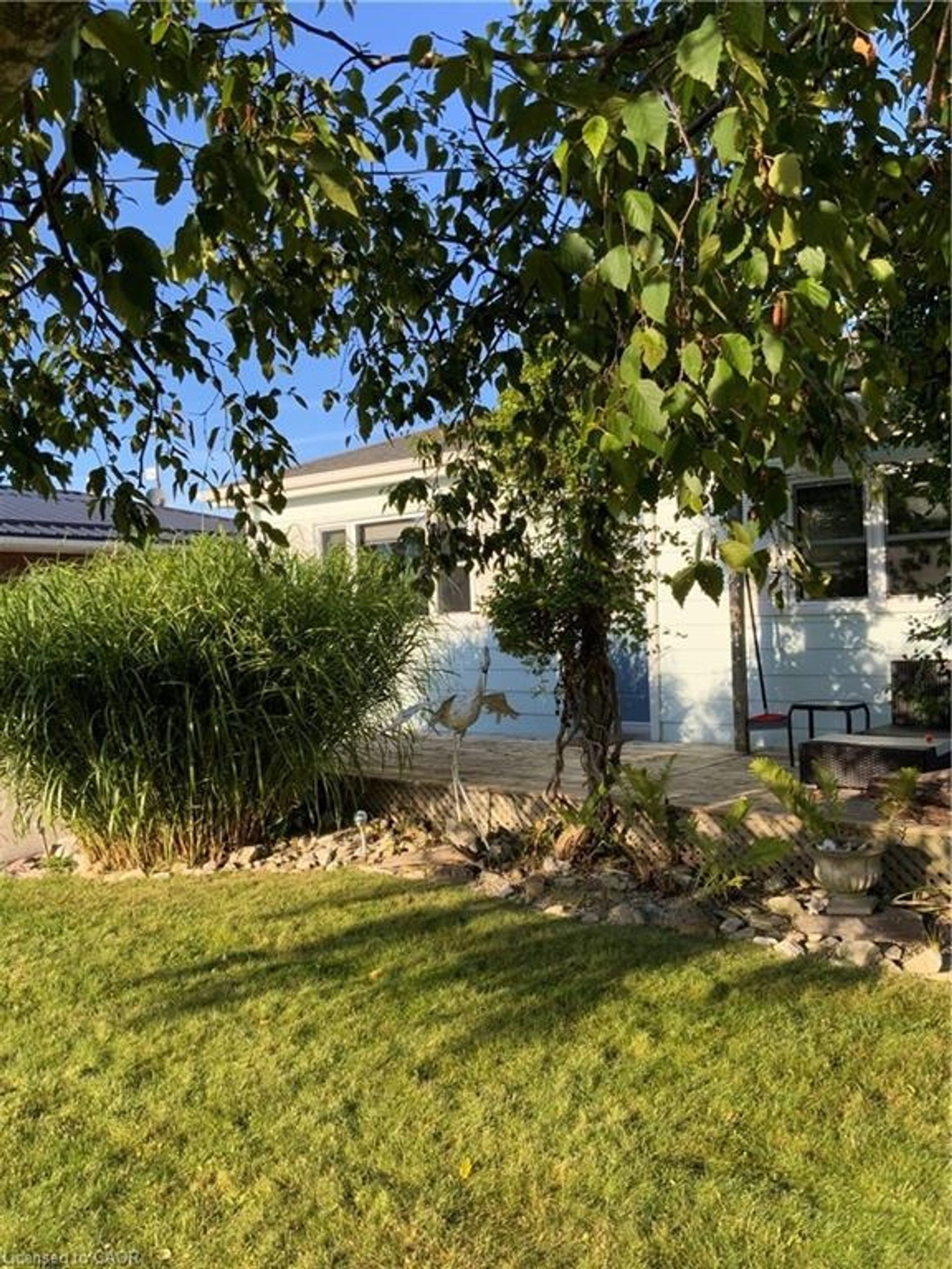 Yard at 25 First Street, Long Point Yard at 25 First Street, Long Point