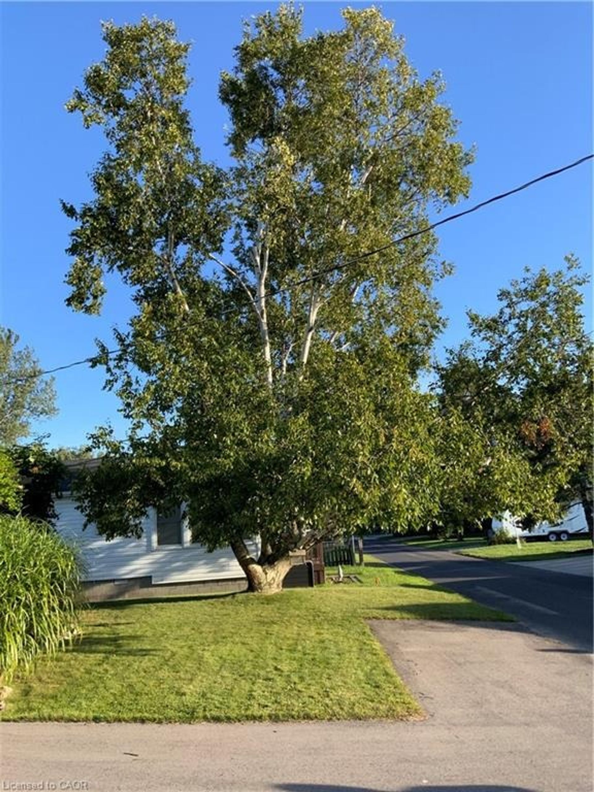 Other at 25 First Street, Long Point Other at 25 First Street, Long Point