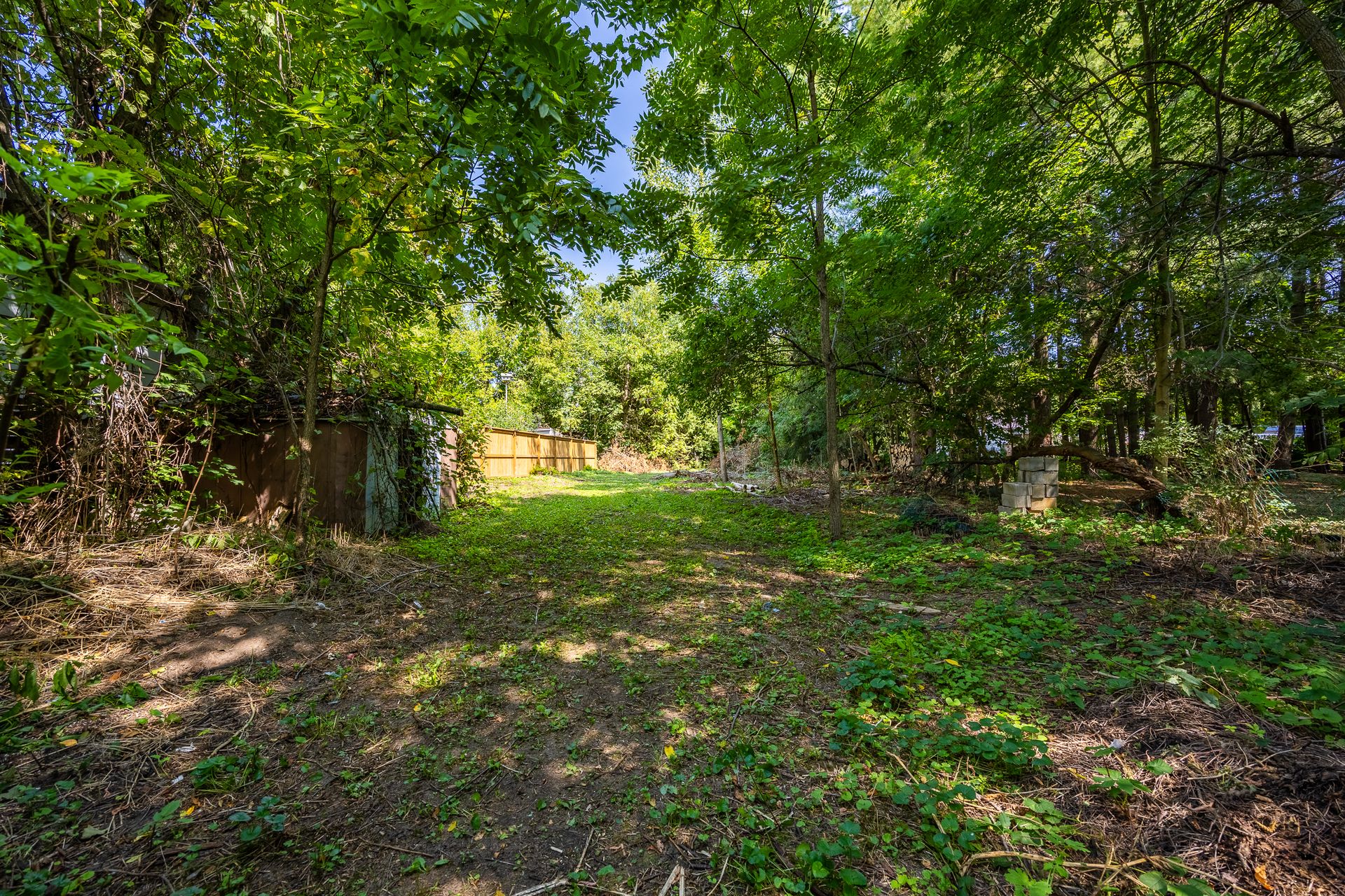 yard at 2036 Main Street, Walsingham yard at 2036 Main Street, Walsingham