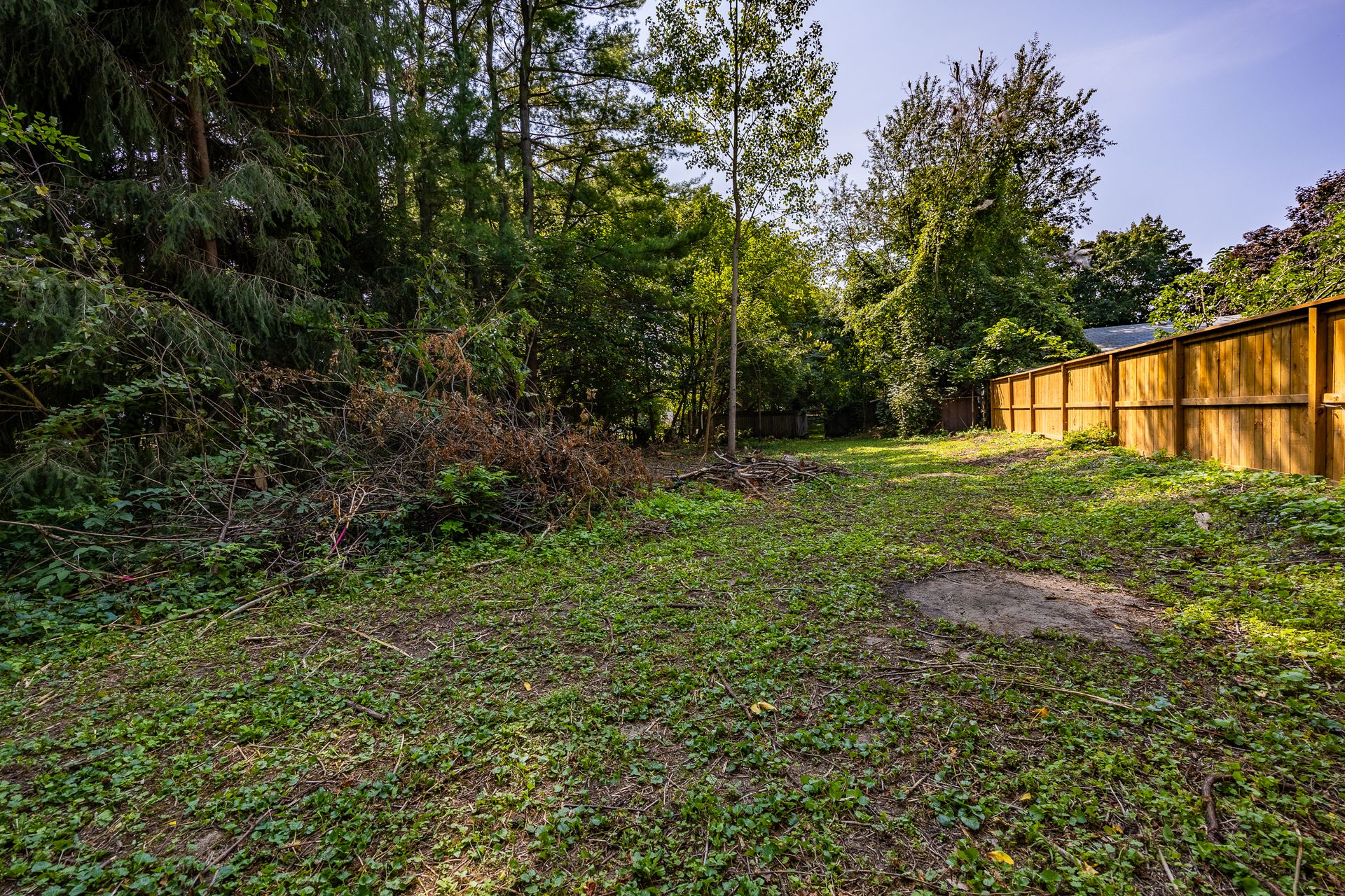 Yard at 2036 Main Street, Walsingham Yard at 2036 Main Street, Walsingham