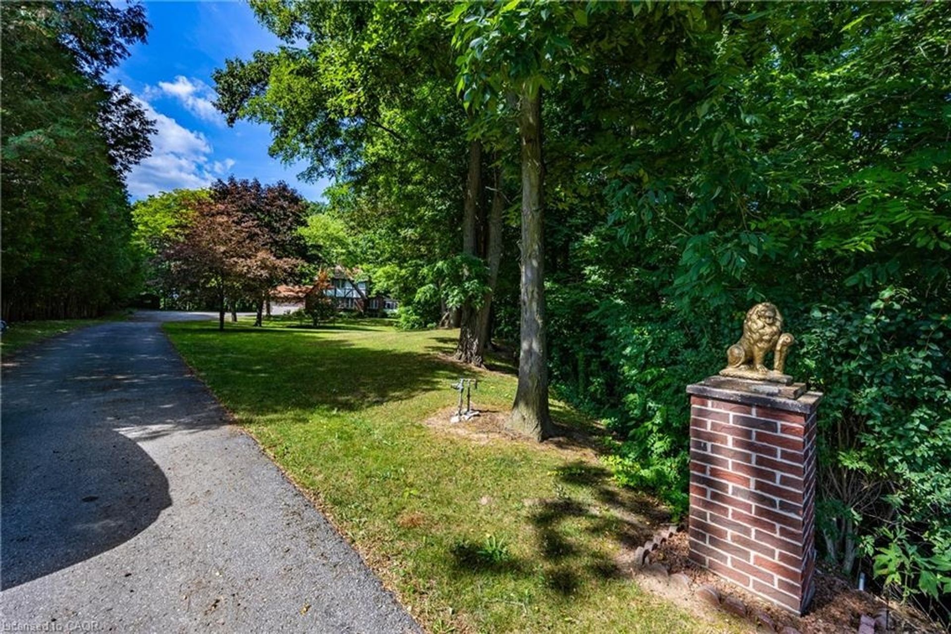 21-mcdowell-rd_yard at 21 Mcdowell Road W, Langton 21-mcdowell-rd_yard at 21 Mcdowell Road W, Langton