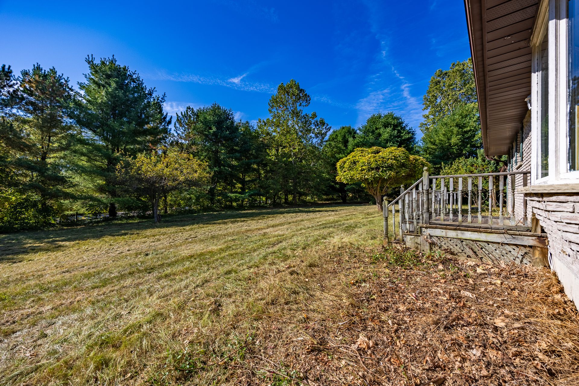 Yard at 10 Troyer Road, Walsingham Yard at 10 Troyer Road, Walsingham