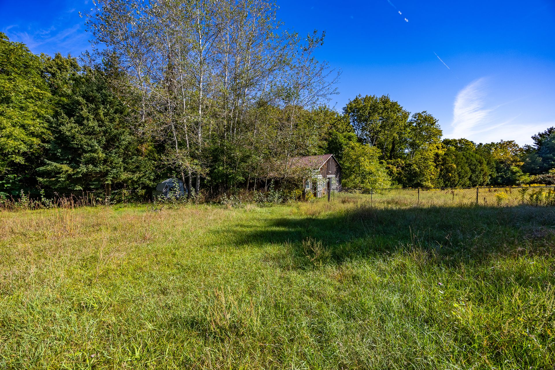 Yard at 10 Troyer Road, Walsingham Yard at 10 Troyer Road, Walsingham