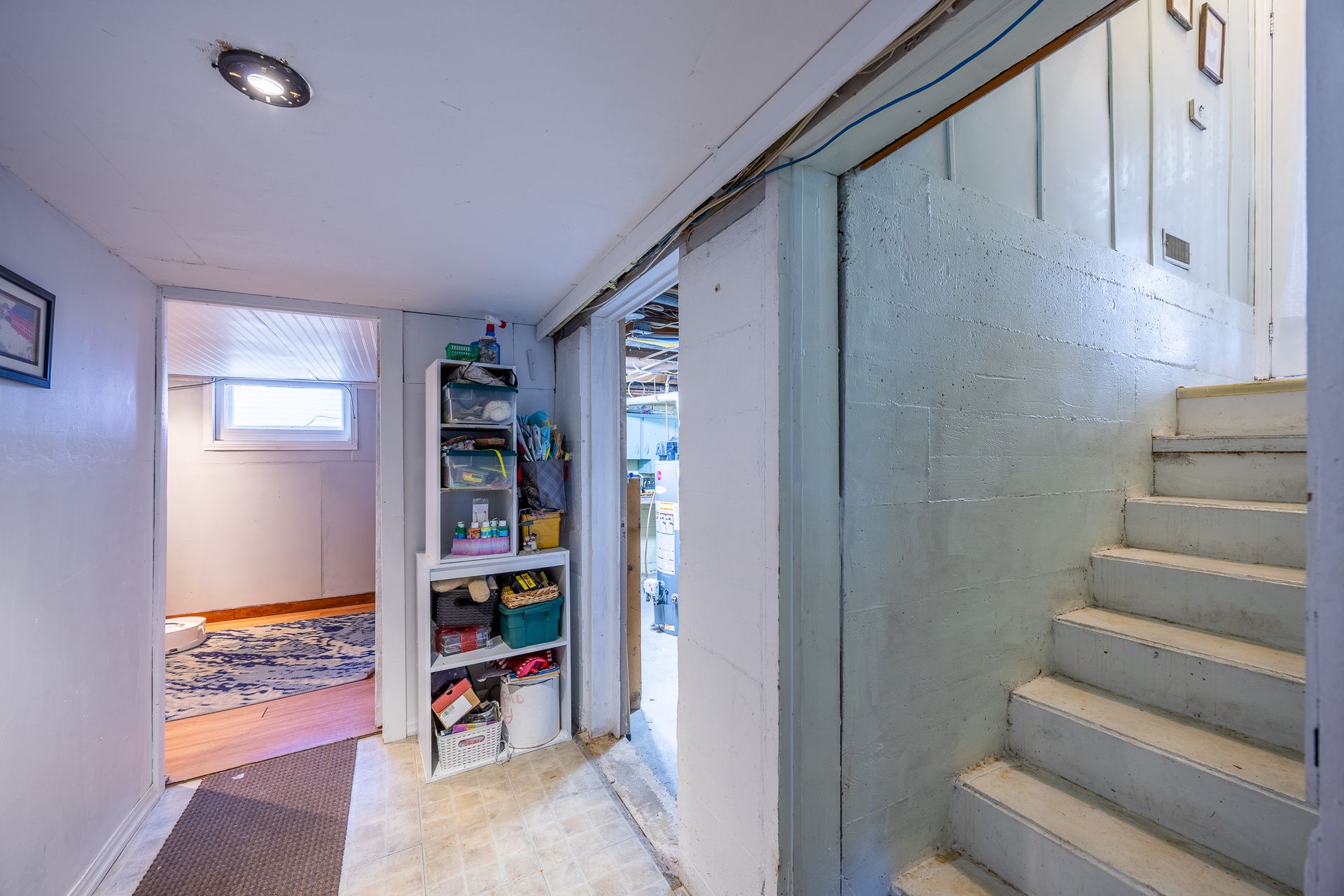 Basement at 167 Eastern Avenue, Delhi Basement at 167 Eastern Avenue, Delhi