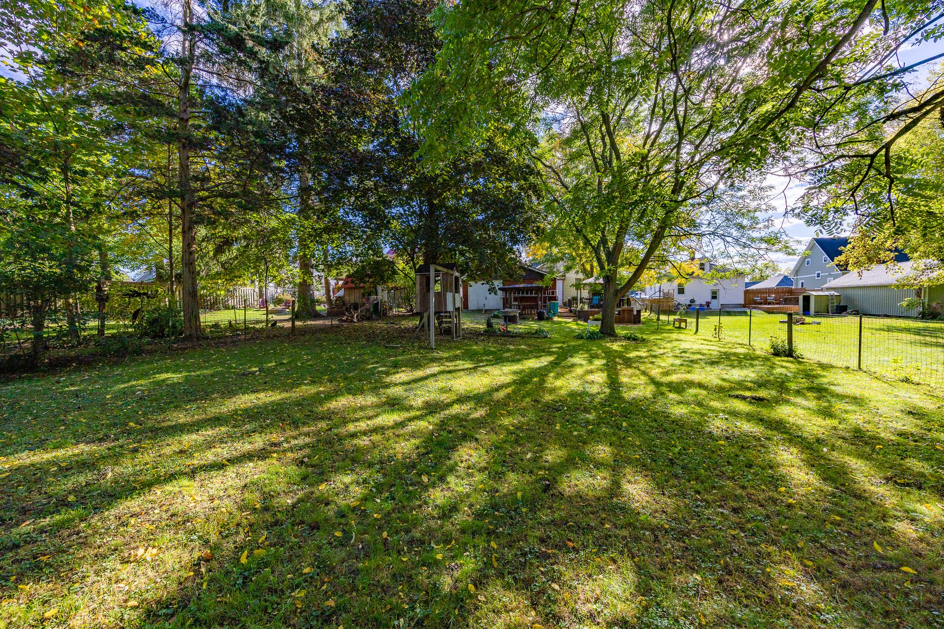 Yard at 167 Eastern Avenue, Delhi Yard at 167 Eastern Avenue, Delhi