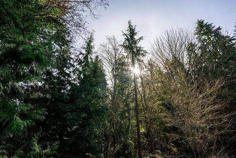 2236-park-crescent-chineside-coq at 2236 Park Crescent, Chineside, Coquitlam